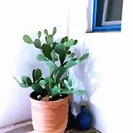 Akteon Hotel Logaras