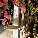 Akteon Hotel