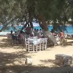 Akteon Logaras