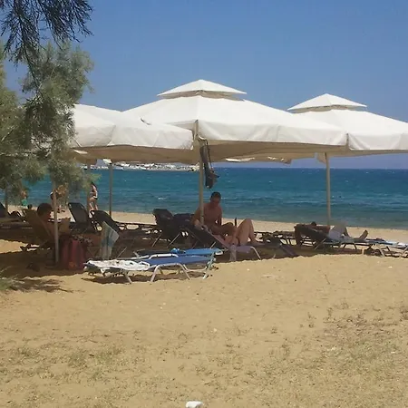 Akteon Hotel Logaras