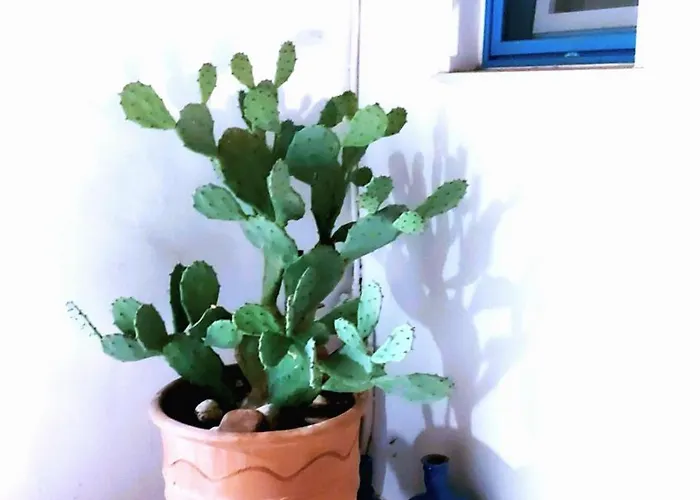 Akteon Hotel Logaras